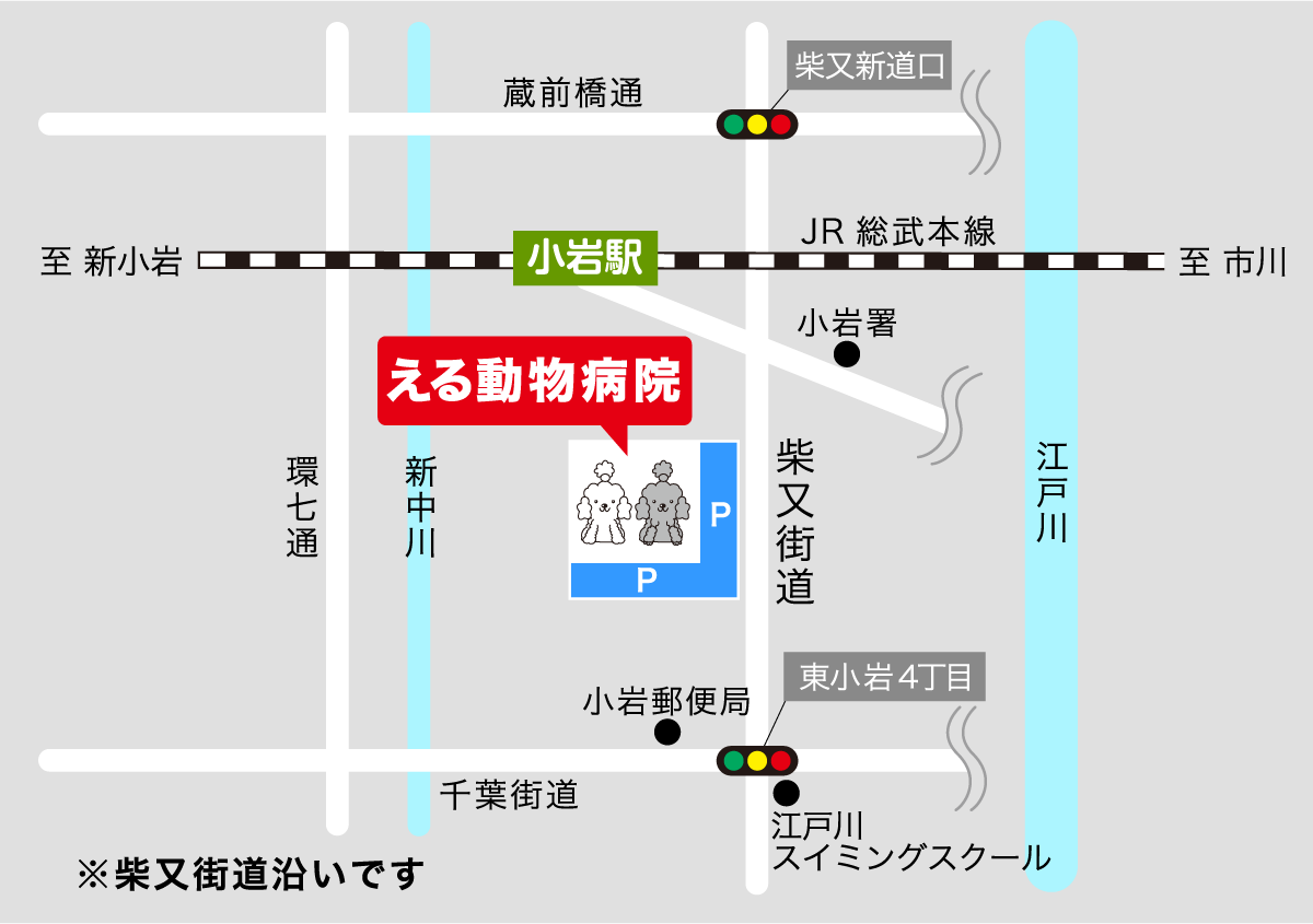 小岩駅より徒歩10分 える動物病院の地図