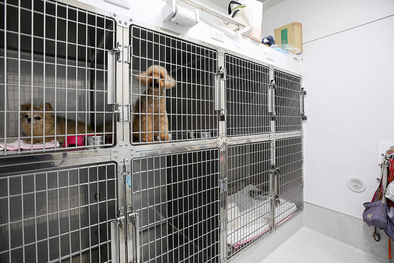 【レントゲン室】