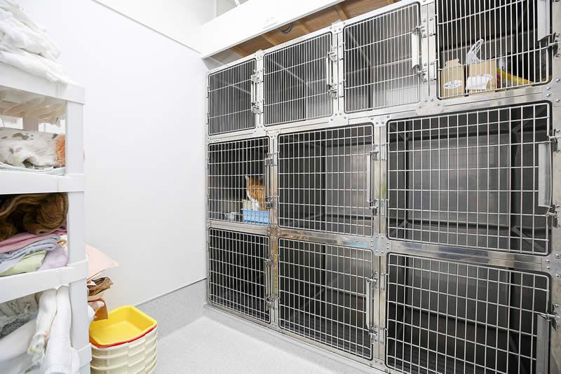 【レントゲン室】